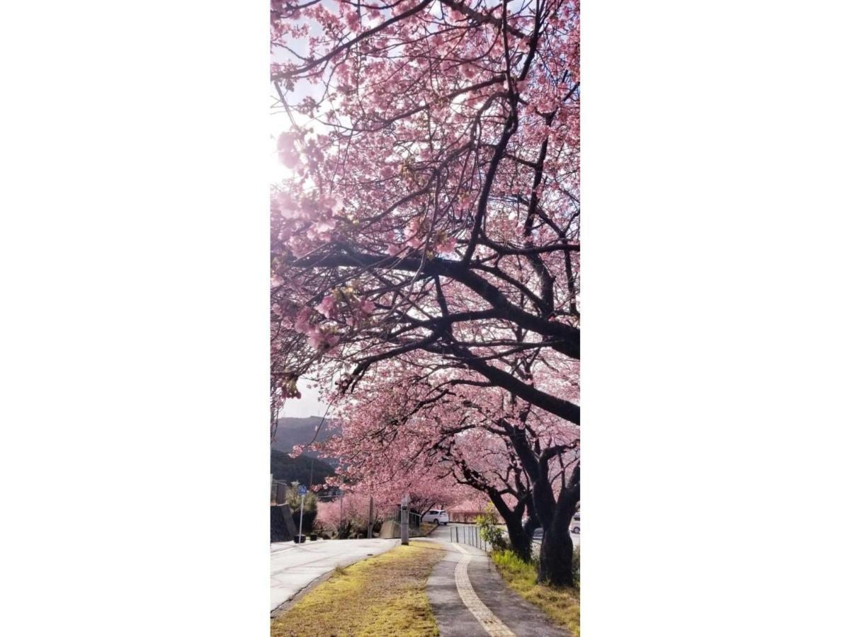 Trust Maison Hokkawa - Vacation Stay 24200V 东伊豆町 外观 照片